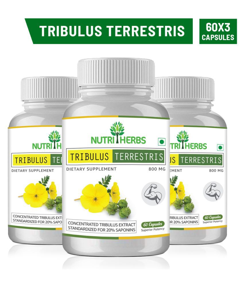 Tribestan Sopharma: Unlocking the Power of Tribulus terrestris for Maximum Sexual Health post thumbnail image