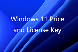 Reduce Expenses however Not Quality – Get a Modest windows 11 key Today! post thumbnail image