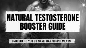 The Best Testosterone Boosters for Improved Sleep Quality post thumbnail image
