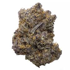 Pick the best Weed Provider to suit your needs post thumbnail image