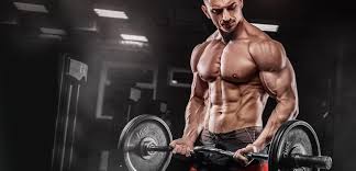 Experience Excellence: Canadian Online Steroids for Superior Results post thumbnail image