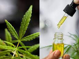 Just How Do I Know if My Formulaswiss cbd oil Is Artificial or otherwise? post thumbnail image