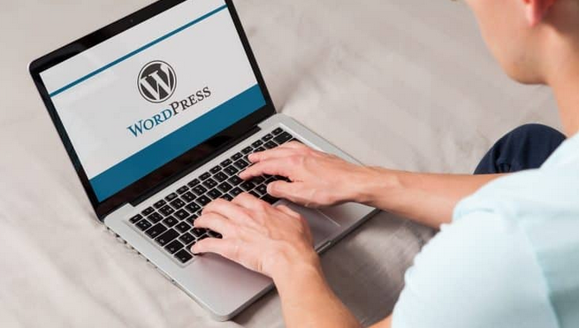 Find the correct Freelance WordPress Developer for your requirements post thumbnail image