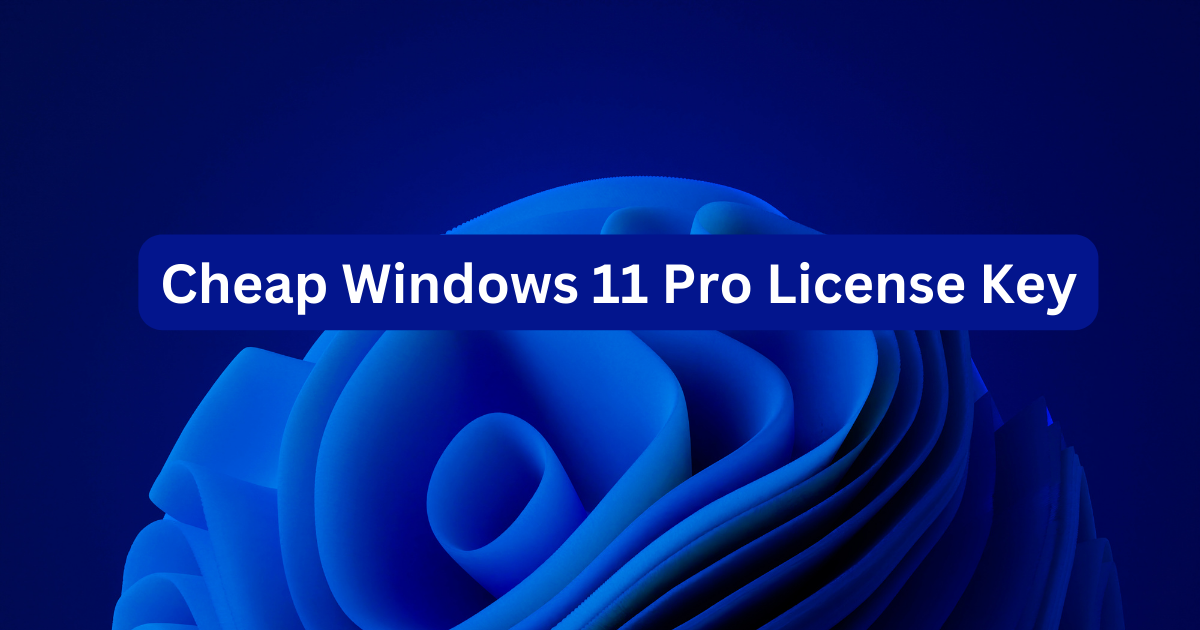 Windows 11 Pro License Special Sale: Cost-Effective Pro Version Access post thumbnail image