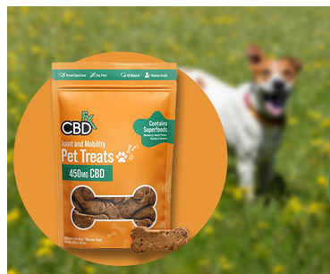 CBD Treats for Dogs: Your Furry Friend’s New Favorite Snack post thumbnail image