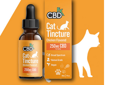 Cat CBD Treats: A Feline-Friendly Way to Wellness post thumbnail image