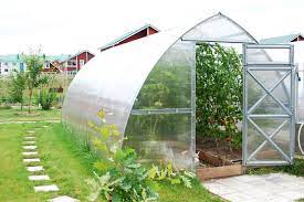 Cultivate Your Oasis: A Guide to Greenhouses for Sale post thumbnail image