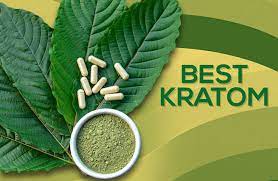 Derailed by Kratom: The Impact of Train Wreck Blend on Mind and Body post thumbnail image